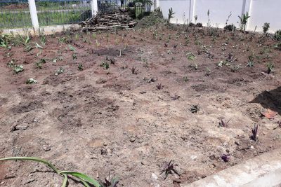Tổng dọn vệ sinh chuẩn bị năm học mới 2021 – 2022.